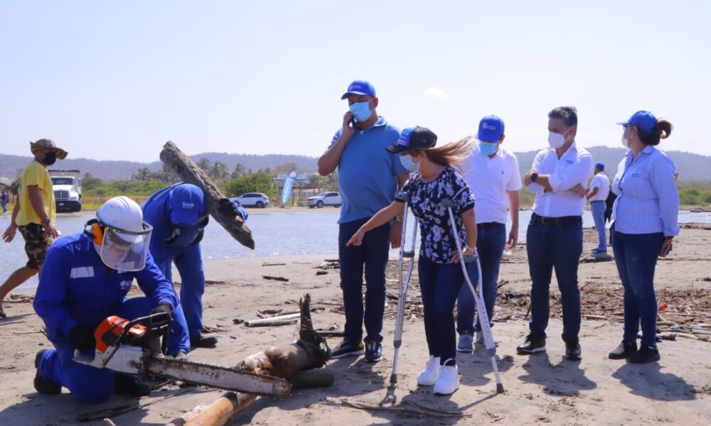 noguera playa limpieza