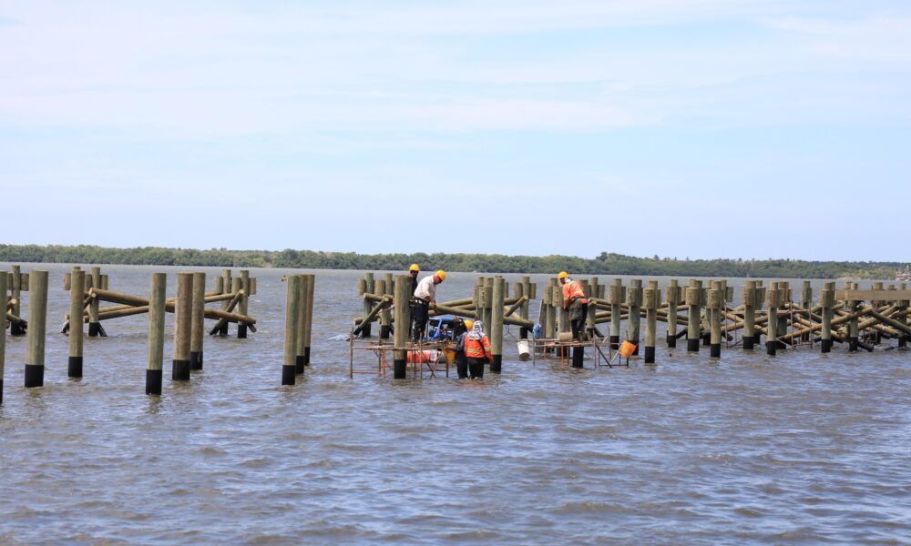 Inspección de obras Ecoparque Ciénaga de Mallorquín fotos 2