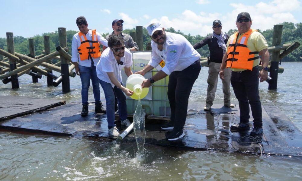 WhatsApp Image 2022 10 04 at 12.46.36 PM 1