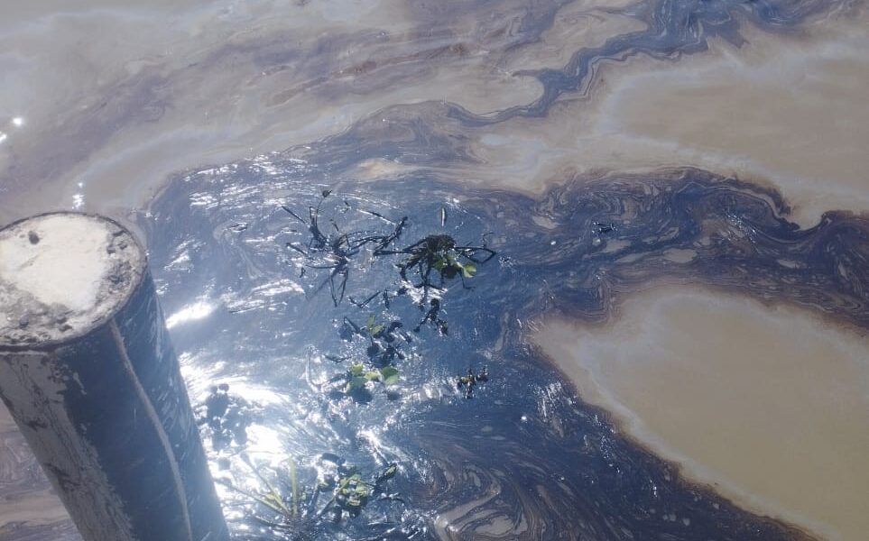 WhatsApp Image 2022 11 12 at 5.19.14 PM 1