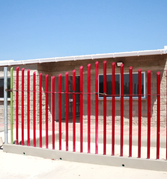 vlcsnap 2025 07 24 09h41m46s057