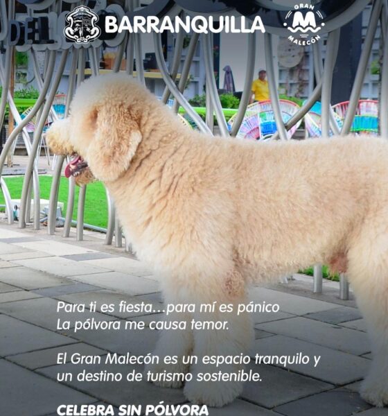 6cd4c81a 13fa 4e75 aada 391d25a4b69f