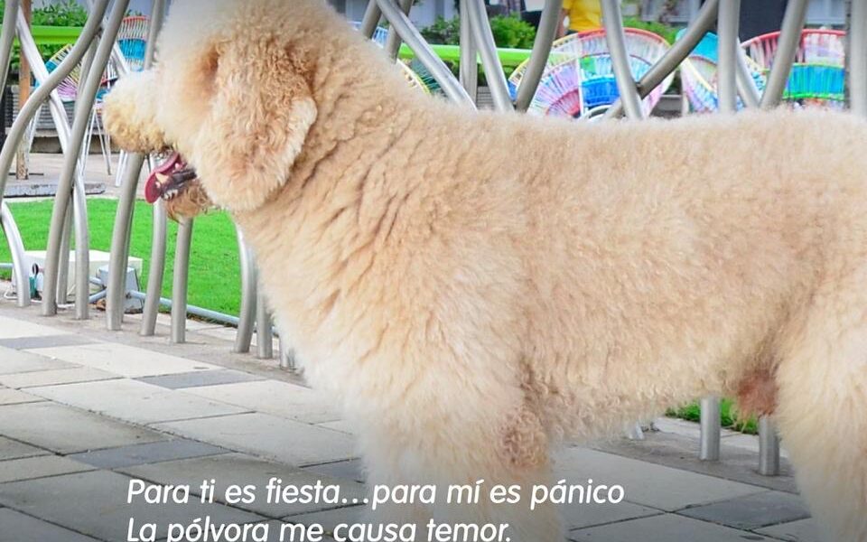 6cd4c81a 13fa 4e75 aada 391d25a4b69f