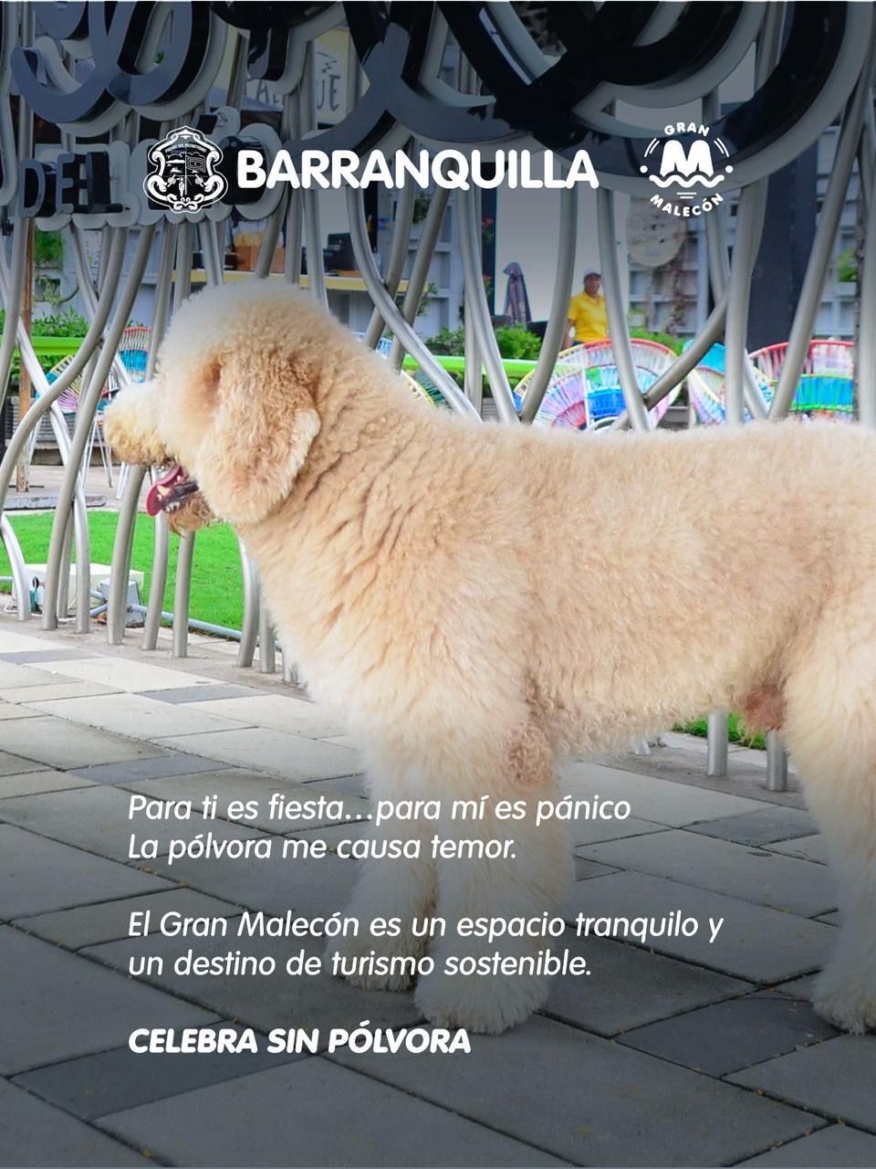 6cd4c81a 13fa 4e75 aada 391d25a4b69f