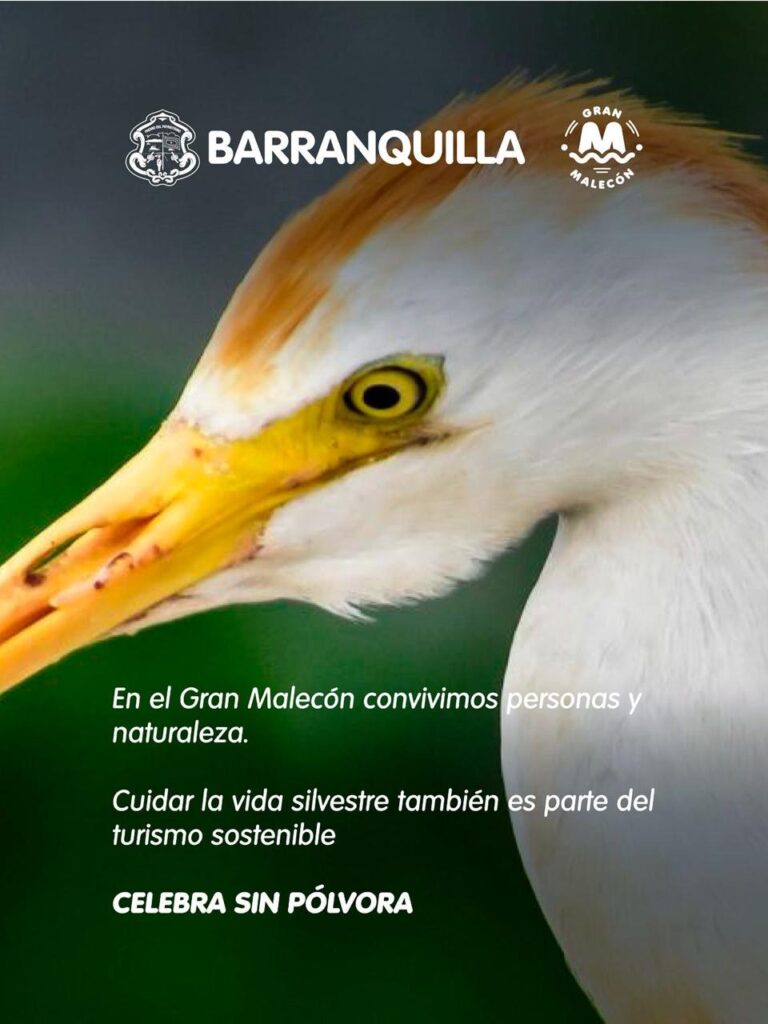 9556fa39 a340 4db5 83fa 7d0913c623e2