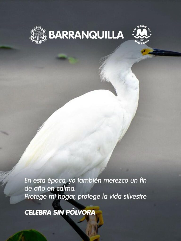 ff84bfdc bc1c 4548 8a3a db24d37bdd46