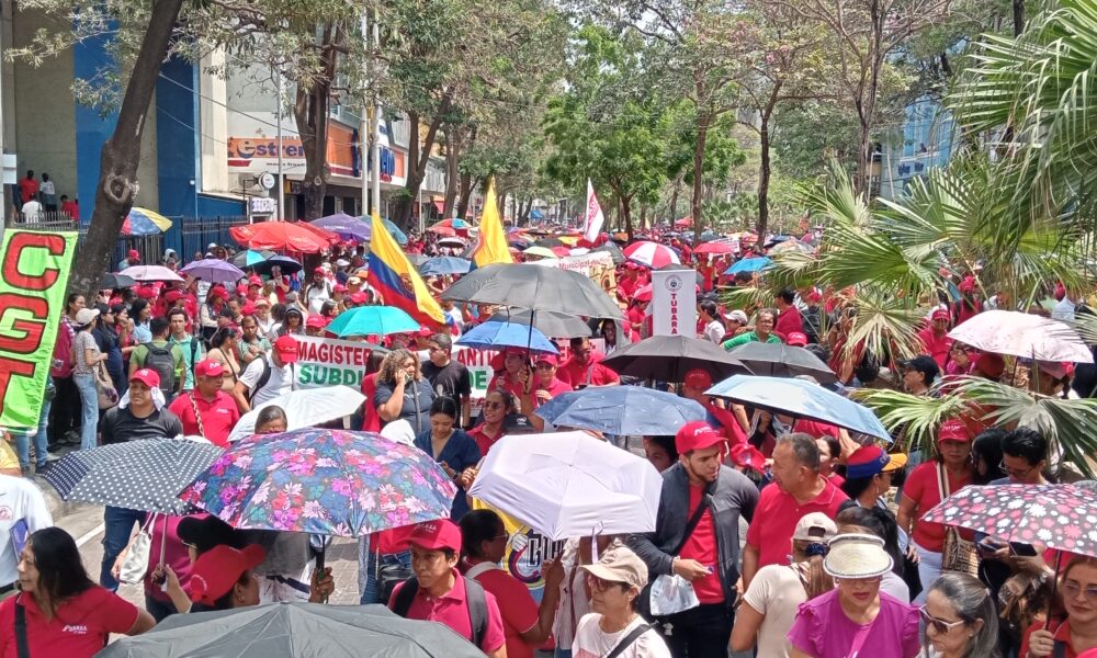 IMG20250331103827 1000x600 1