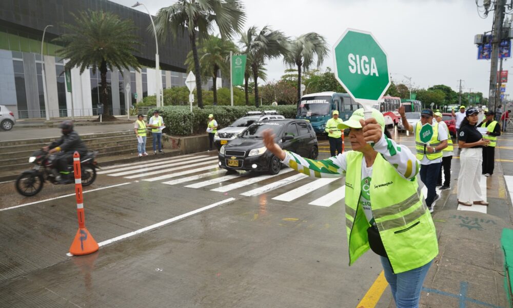 Pico y placa via 40 2
