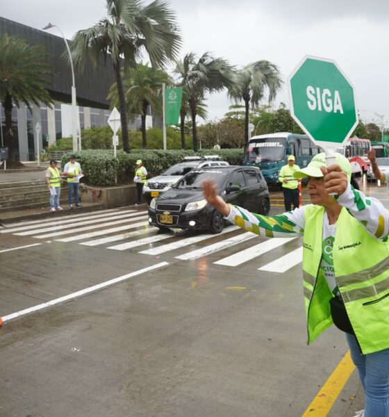 Pico y placa via 40 2