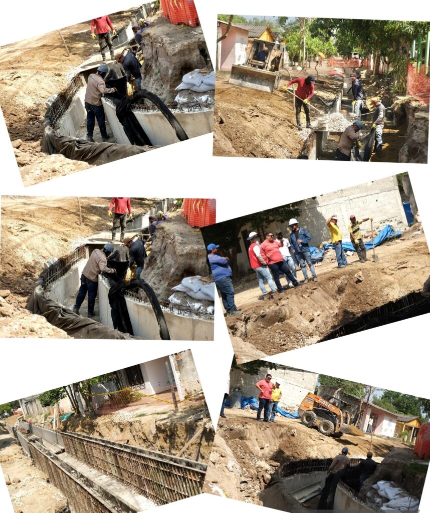 Collage 2026 03 03 19 00 102