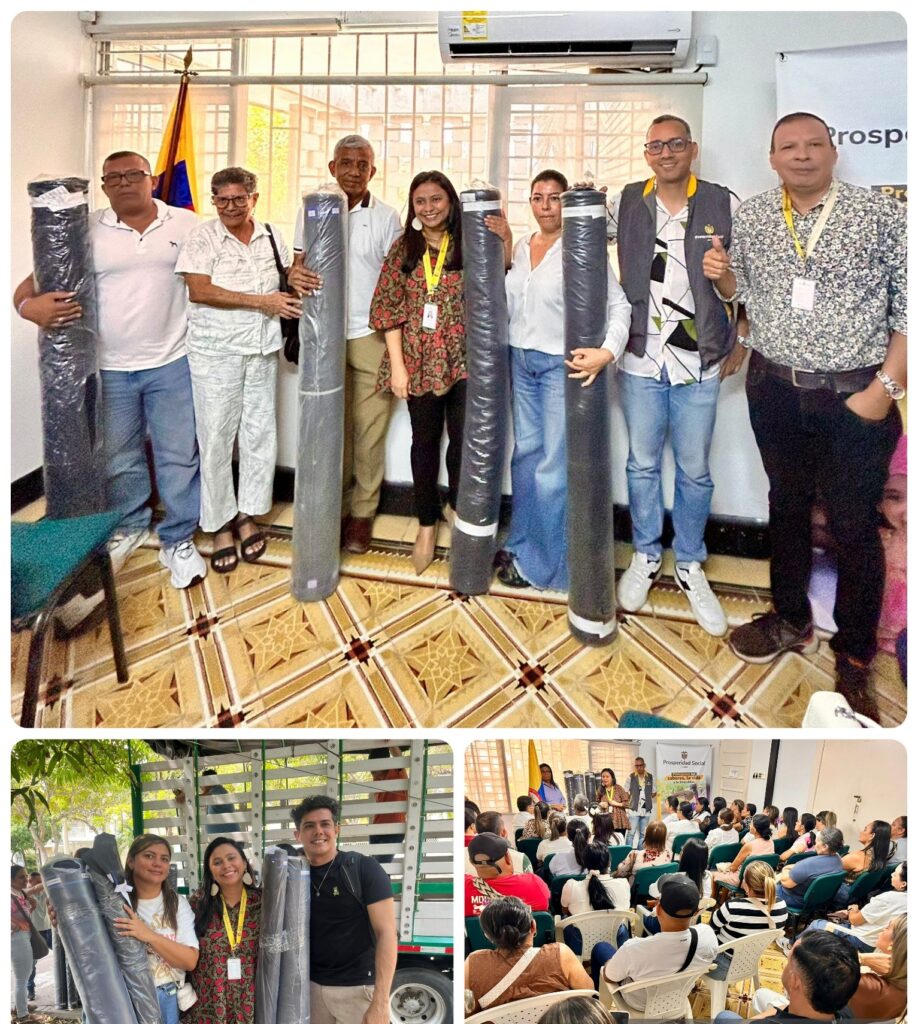 Collage 2026 03 14 11 50 262