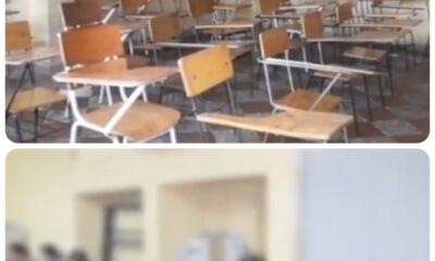 Collage 2026 03 15 17 16 102