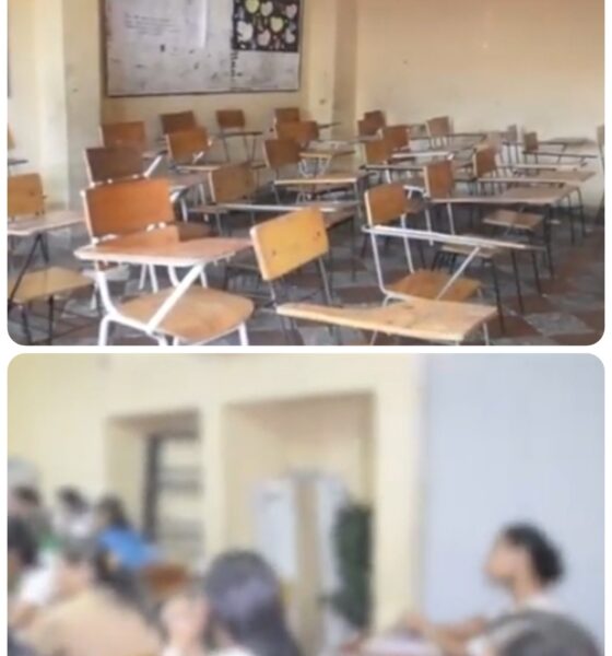 Collage 2026 03 15 17 16 102