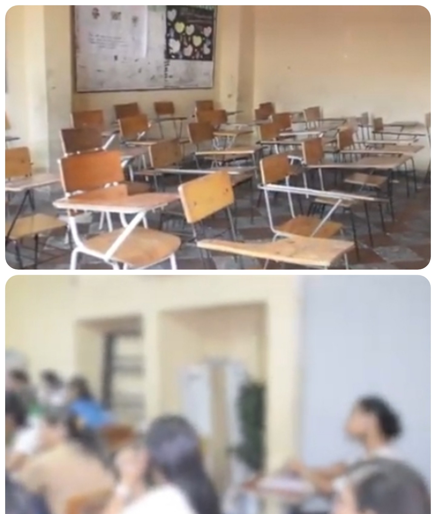 Collage 2026 03 15 17 16 102