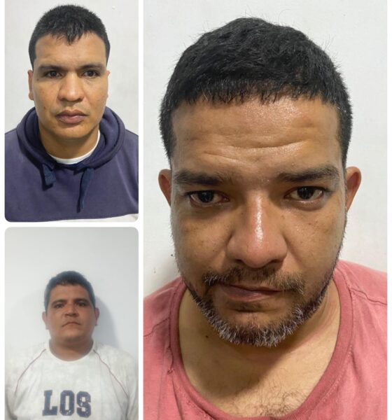 Collage 2026 03 18 10 55 252