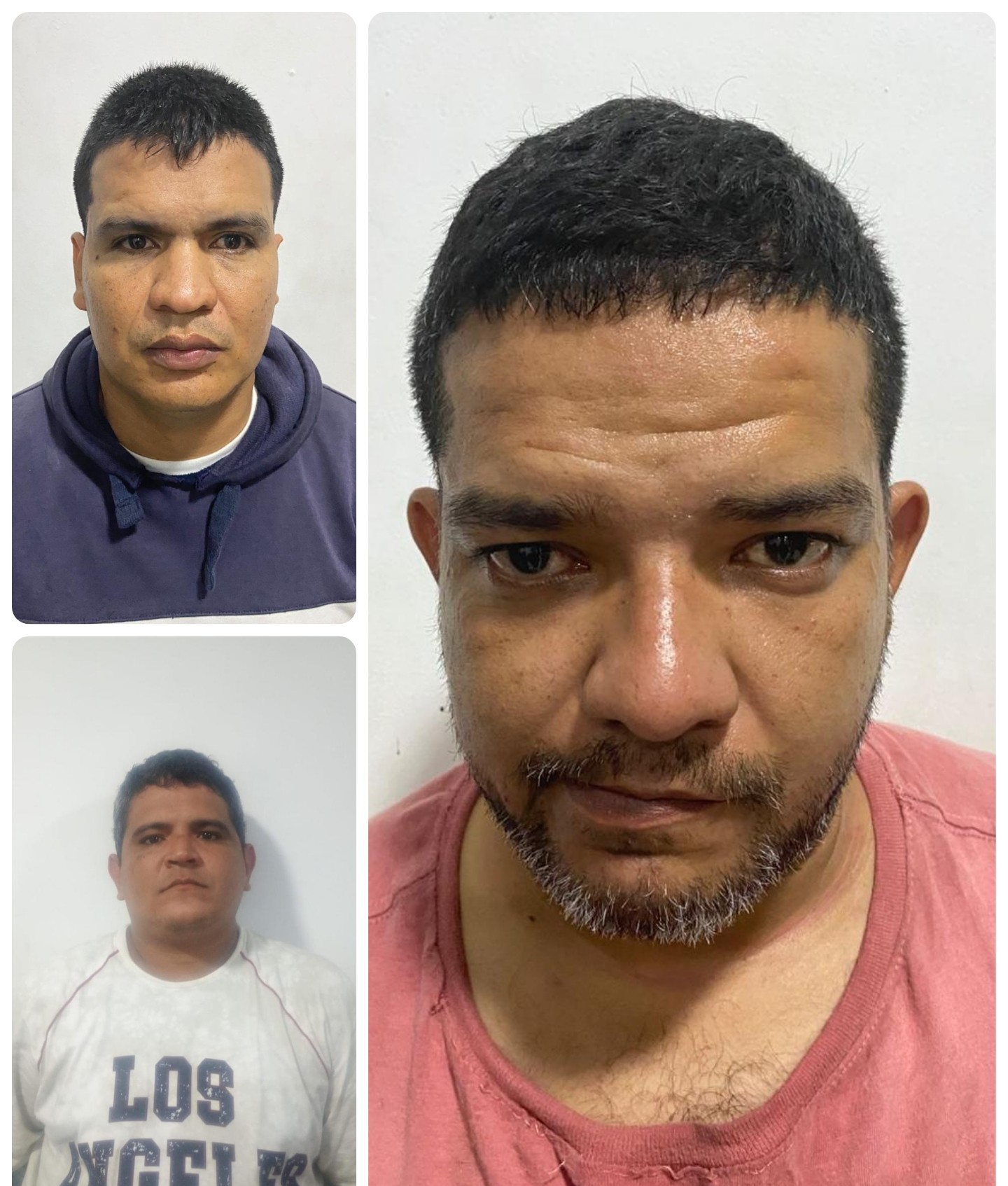 Collage 2026 03 18 10 55 252