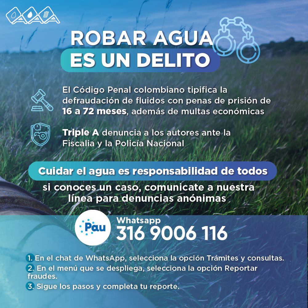 Más de 34 mil conexiones ilegales detectadas por Triple A desde 2024 hasta la fecha 44 IMG 20260330 WA0088
