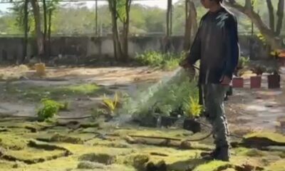 Screenshot 20260310 210247 com android chrome CustomTabActivity