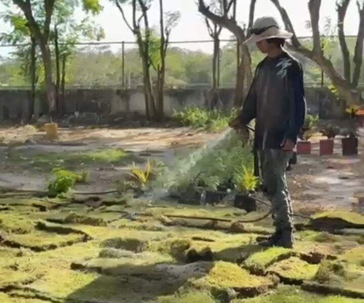 Screenshot 20260310 210247 com android chrome CustomTabActivity