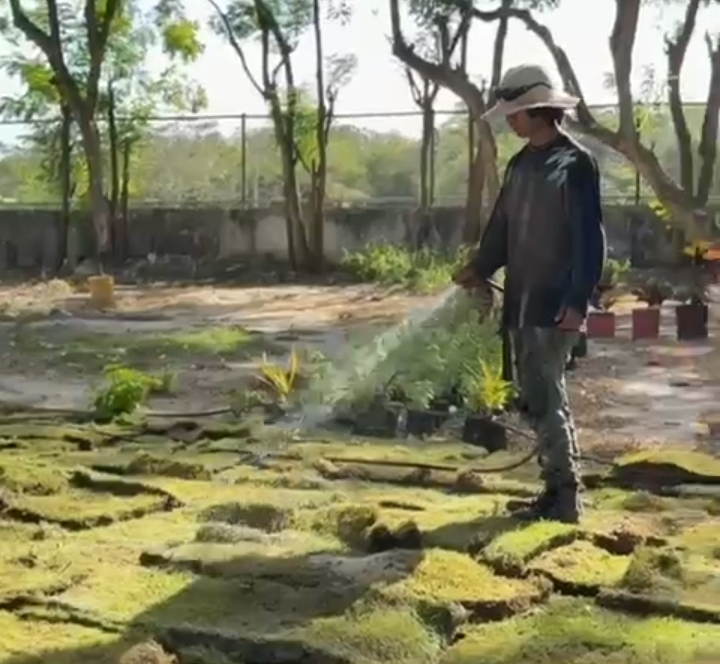 Screenshot 20260310 210247 com android chrome CustomTabActivity