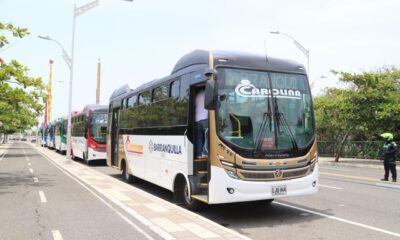 Nuevos buses 1