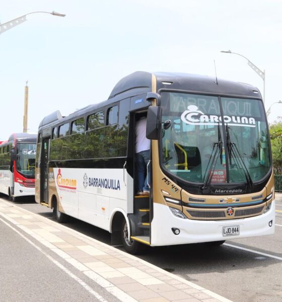 Nuevos buses 1