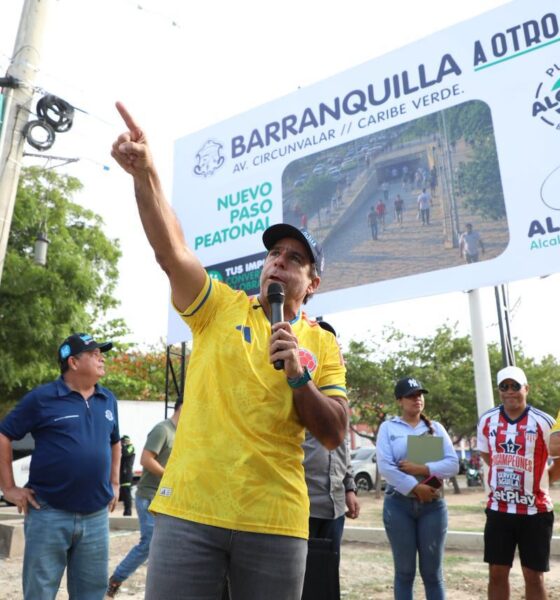 Alcalde Caribe Verde1