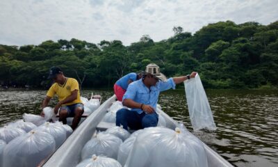 IMG 20260710 WA0057