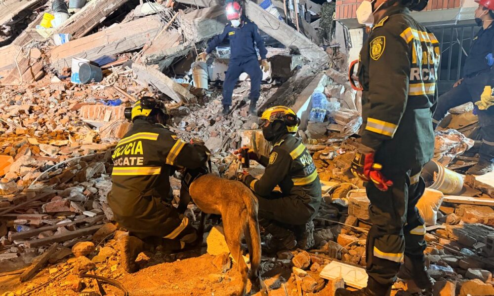 rescatistas 3