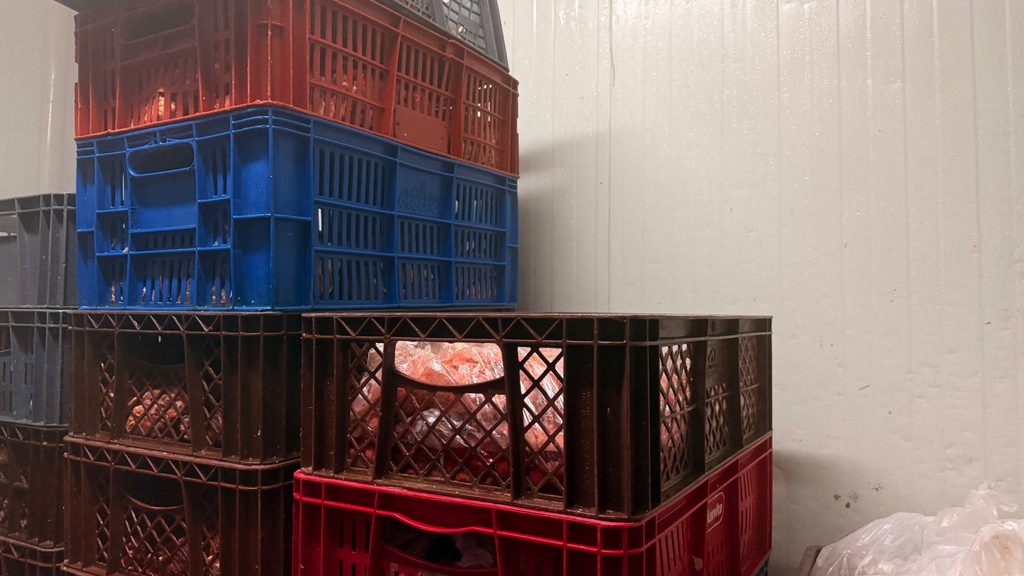 Secretaría de Salud de Soledad realizó cierre total temporal de expendio de carnes por incumplimientos sanitarios 46 1668555