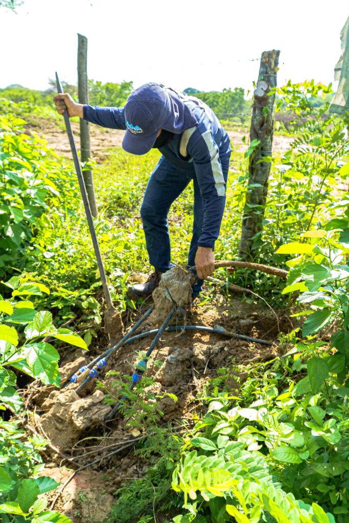 De cada 10 litros de agua que Triple A destina para Paluato, 7 se pierden por conexiones ilegales 42 IMG 20261019 WA0141