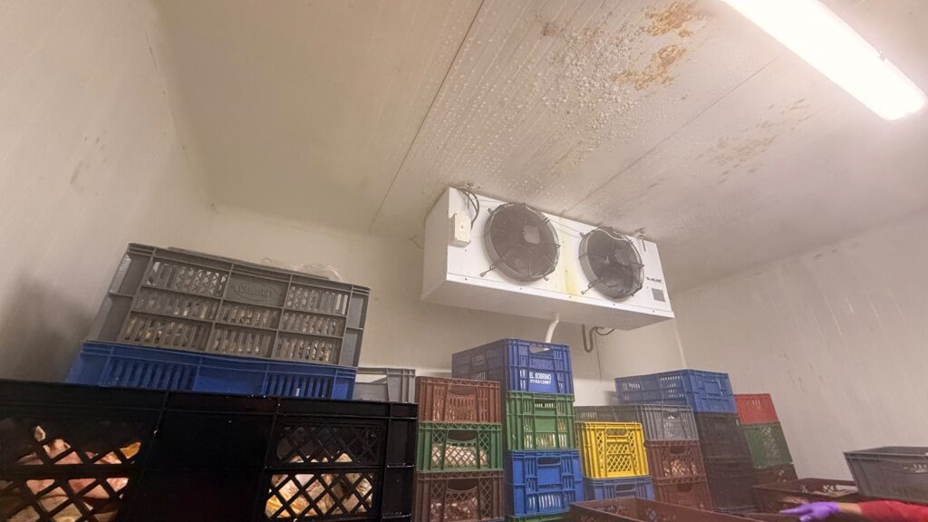 Secretaría de Salud de Soledad realizó cierre total temporal de expendio de carnes por incumplimientos sanitarios 42 IMG 20261029 WA0209