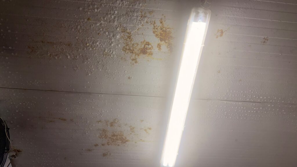 Secretaría de Salud de Soledad realizó cierre total temporal de expendio de carnes por incumplimientos sanitarios 43 IMG 20261029 WA0216
